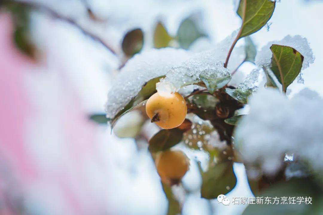 爸媽放心吧，立冬的餃子我已經(jīng)吃上啦！