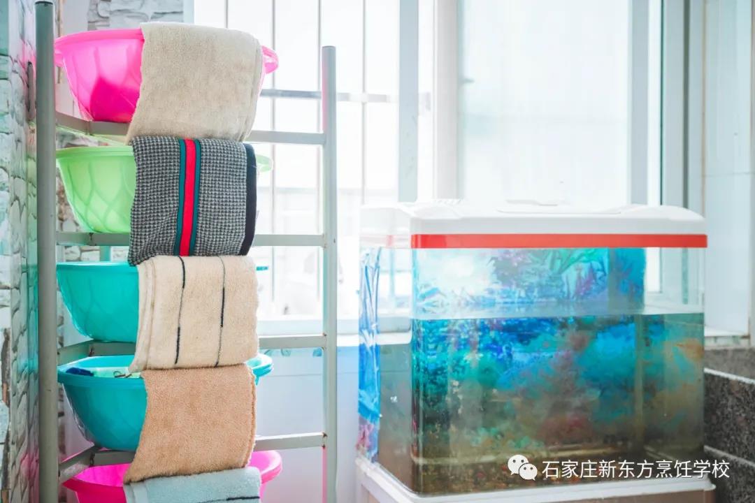 一見(jiàn)傾心丨get宿舍相處之道，幸福值拉滿~