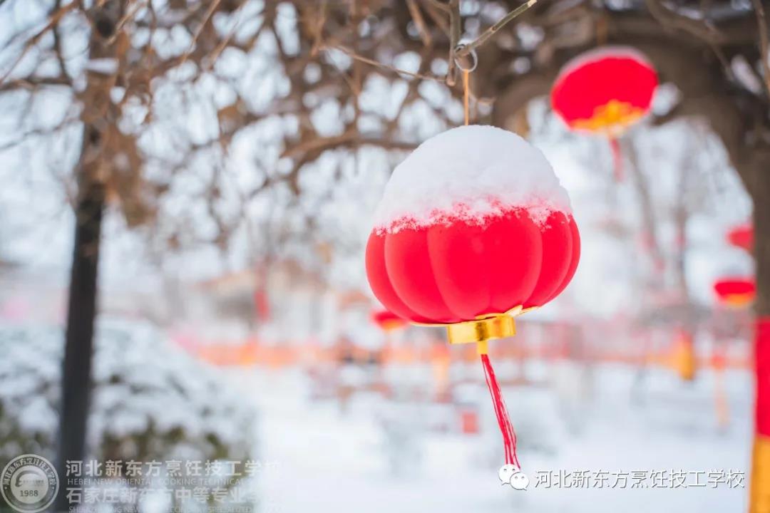 | | 如果，能在這里和你同游看場(chǎng)雪