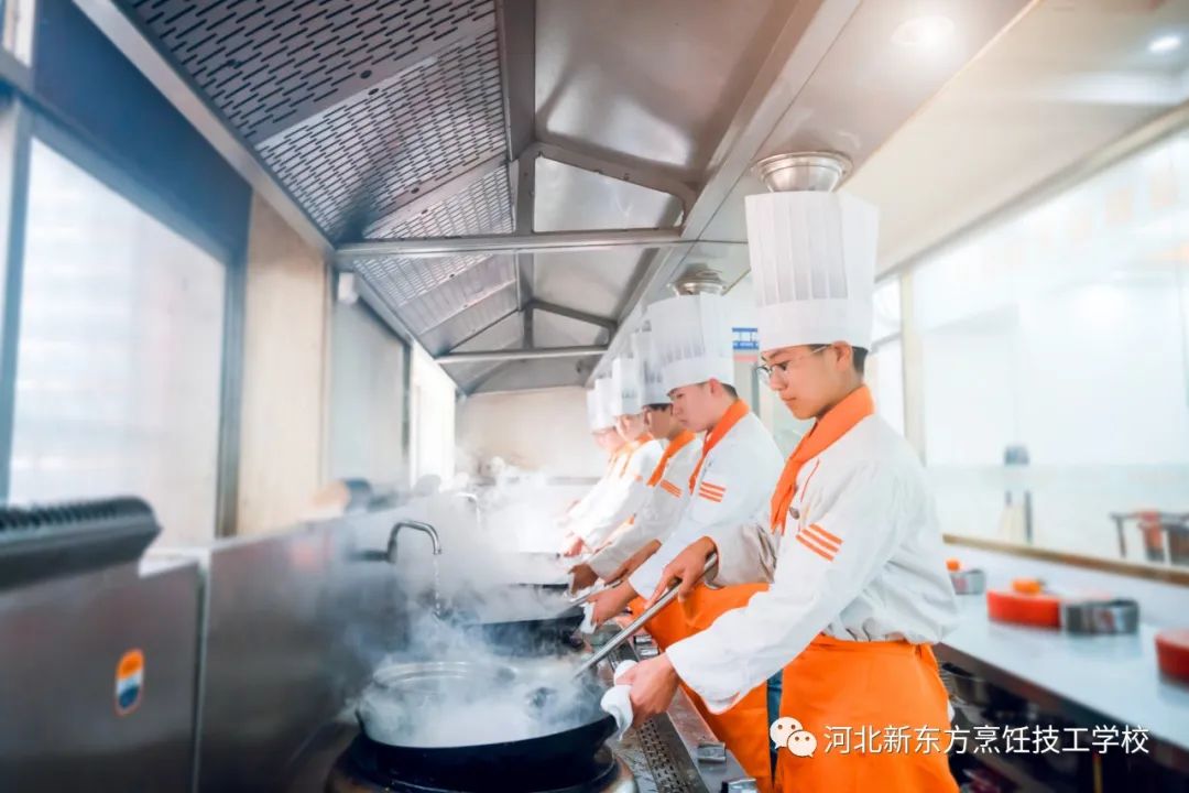 【職教活動(dòng)周】大趨勢(shì)下，進(jìn)職校？選普高？你想明白了嗎?